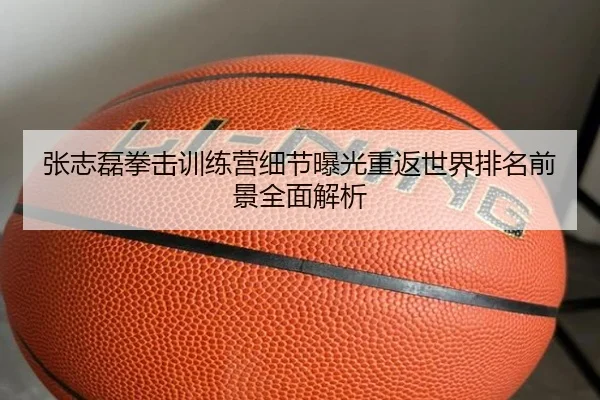 张志磊拳击训练营细节曝光重返世界排名前景全面解析